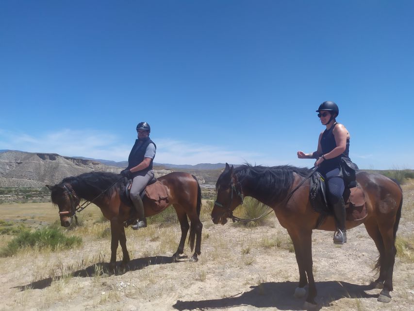Almeria: Horse Riding Tour Through the Tabernas Desert - Who this is best for, and who should skip it