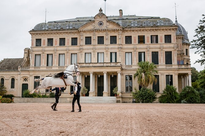 Andalusian Horses Dance Show - A 90-Minute Hit of Andalusian Horse Art in Jerez