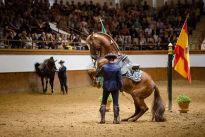 Andalusian Horses Dance Show