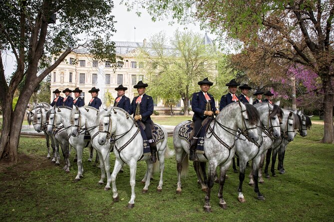 Andalusian Horses Dance Show - Carriage Driving and Classical Harness: Old School, Sport Style