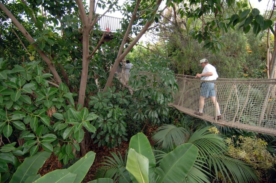 Arona: Entry Ticket to Tenerife's Jungle Park Zoo - Key things to know before you go