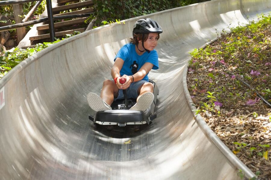 Arona: Entry Ticket to Tenerife's Jungle Park Zoo - Arona Jungle Park: what makes this Tenerife day ticket feel special