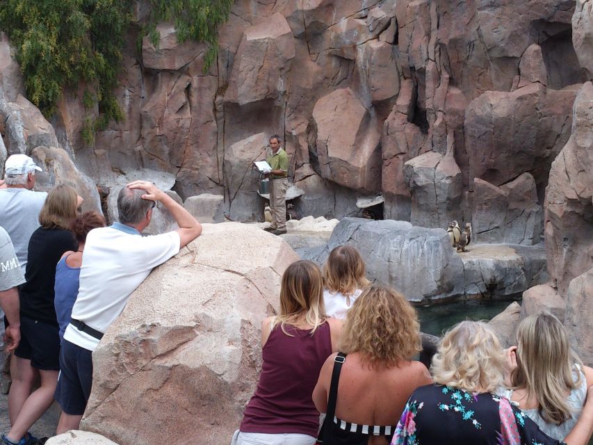 Arona: Entry Ticket to Tenerife's Jungle Park Zoo - Walking among the hidden attractions: bridges, caves, and extra areas