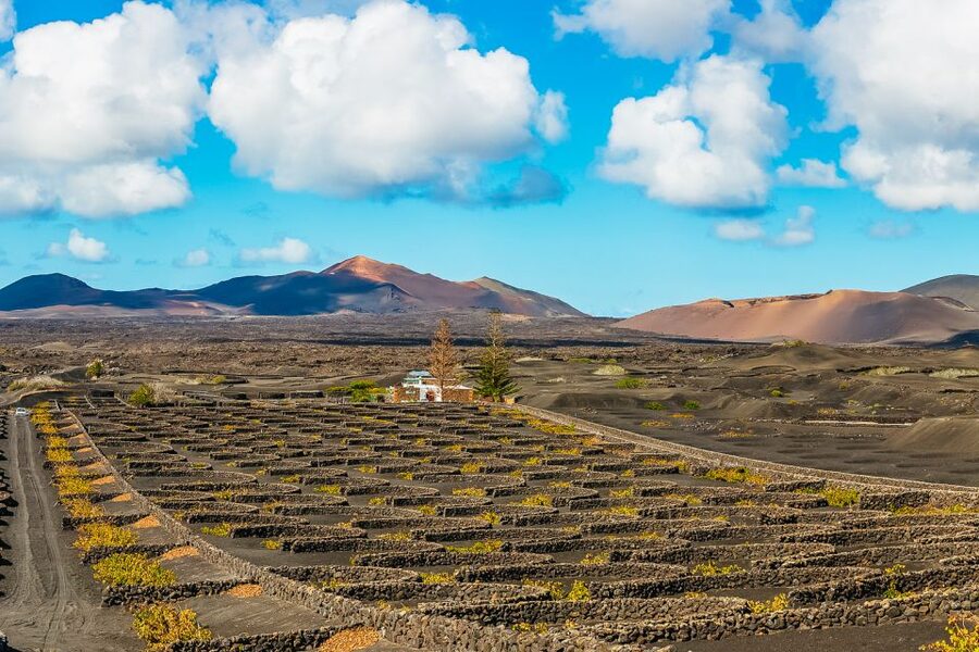 Arrecife: Timanfaya and Green Lagoon for Cruise Passengers - Key points to know before you go