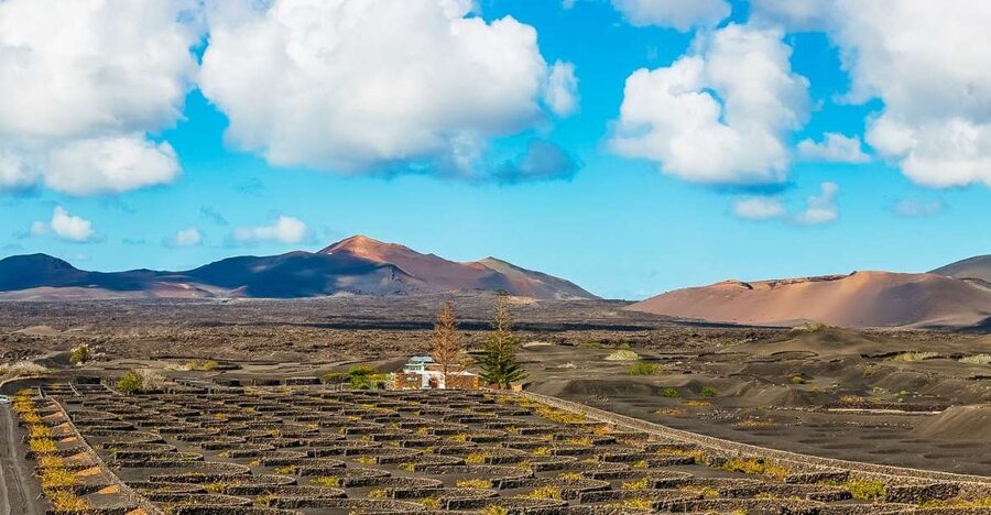 Arrecife: Timanfaya and Green Lagoon for Cruise Passengers - From Arrecife port to Lanzarote south: the timing that matters