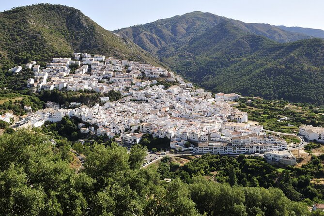 Authentic Andalusia - Jeep Eco Tour (pick up from Marbella - Estepona) - Skip the Car, Keep the Adventure: Getting From Marbella to the Hills