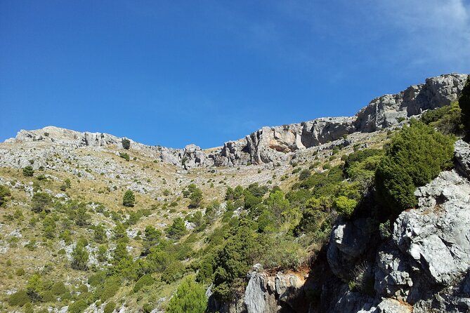Authentic Andalusia - Jeep Eco Tour (pick up from Marbella - Estepona) - Who This Day Trip Fits Best, and Who Should Reconsider It