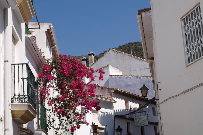 Authentic Andalusia - Jeep Eco Tour (pick up from Marbella - Estepona) - Should You Book This Jeep Eco Tour?
