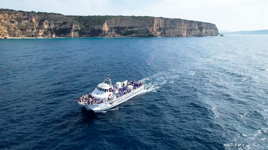 Barbate: Dolphin and Whale Watching in Cape Trafalgar - Why Barbate and Cape Trafalgar Makes Sense