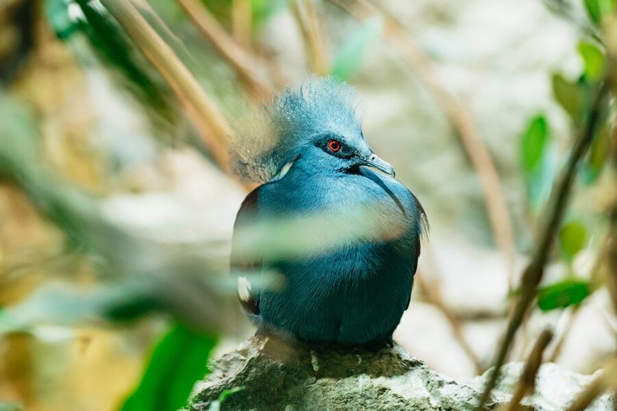 Barcelona: 1-Day Ticket to Barcelona Zoo - Key highlights