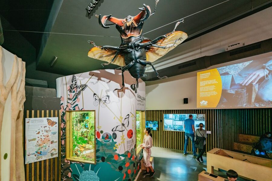 Barcelona: 1-Day Ticket to Barcelona Zoo - The animal core: Snowflake’s descendants, dolphins, Komodo dragons, and more
