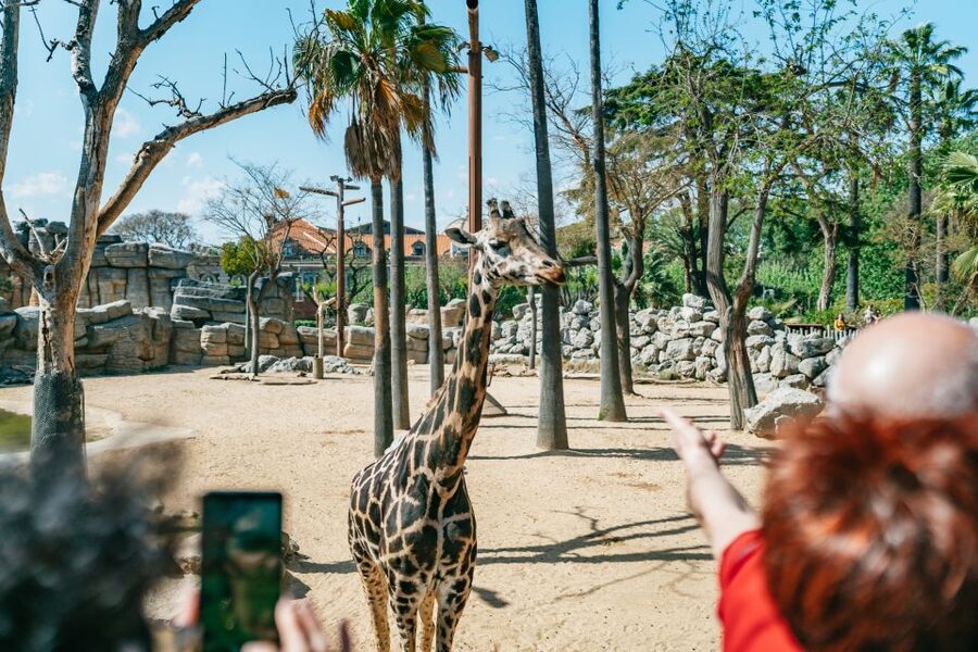 Barcelona: 1-Day Ticket to Barcelona Zoo - Family-friendly extras: pony rides, miniature railways, electric cars, and playground time