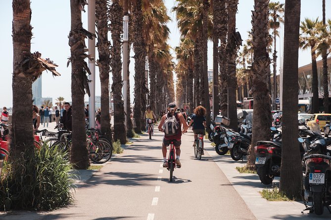 Barcelona 3-hour Bike or E-Bike Tour: Highlights and Hidden Gems - Sagrada Família stop: see the unfinished vision from street level