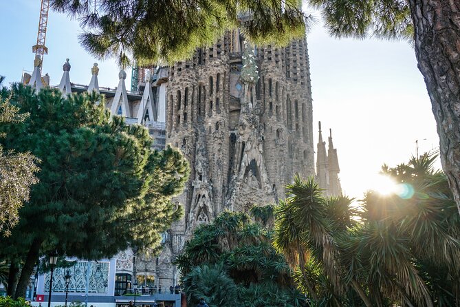 Barcelona all included: Sagrada, Park Güell, Montjuic & Gothic - Montjuïc by private transport, with big-city views and Olympic leftovers