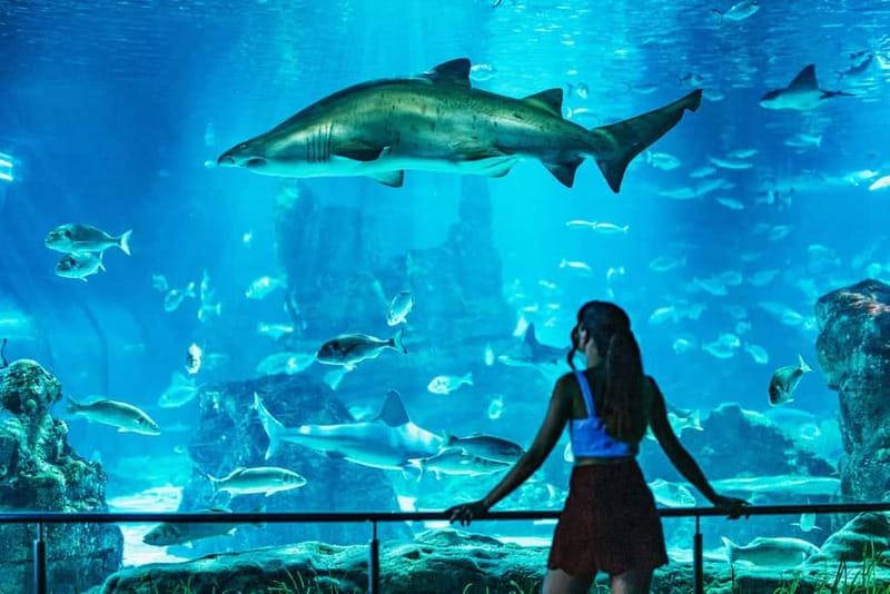 Barcelona Aquarium: Entry Ticket - Who this Barcelona Aquarium ticket fits best