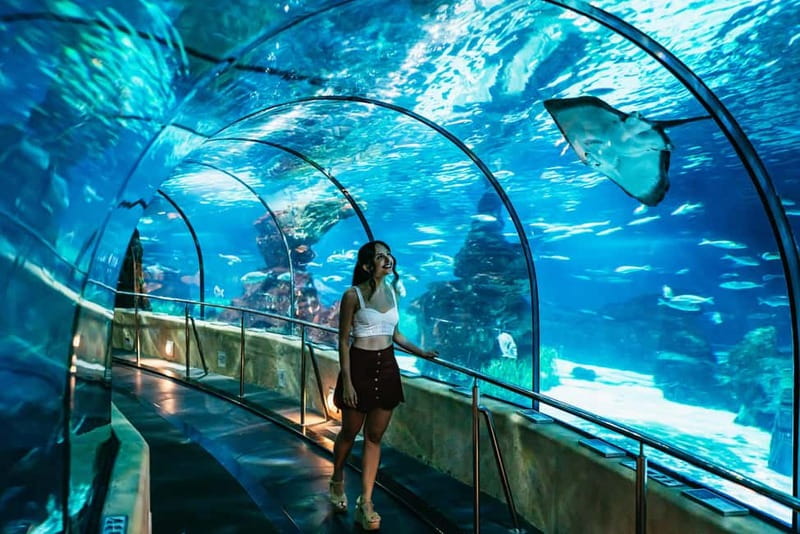 Barcelona Aquarium: Entry Ticket - Oceanarium Tunnel: the 80-meter walk where you feel surrounded