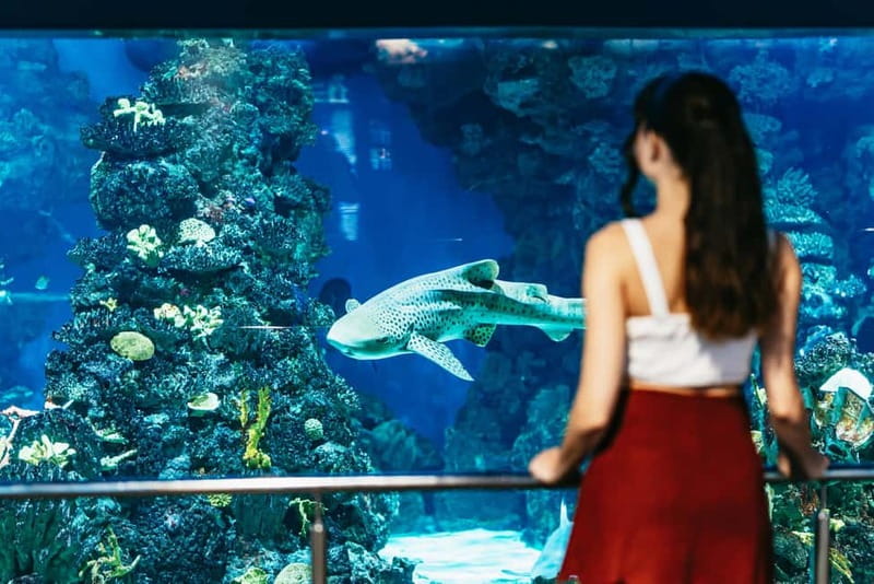 Barcelona Aquarium: Entry Ticket - Planeta Aqua: a five-senses learning room for all ages