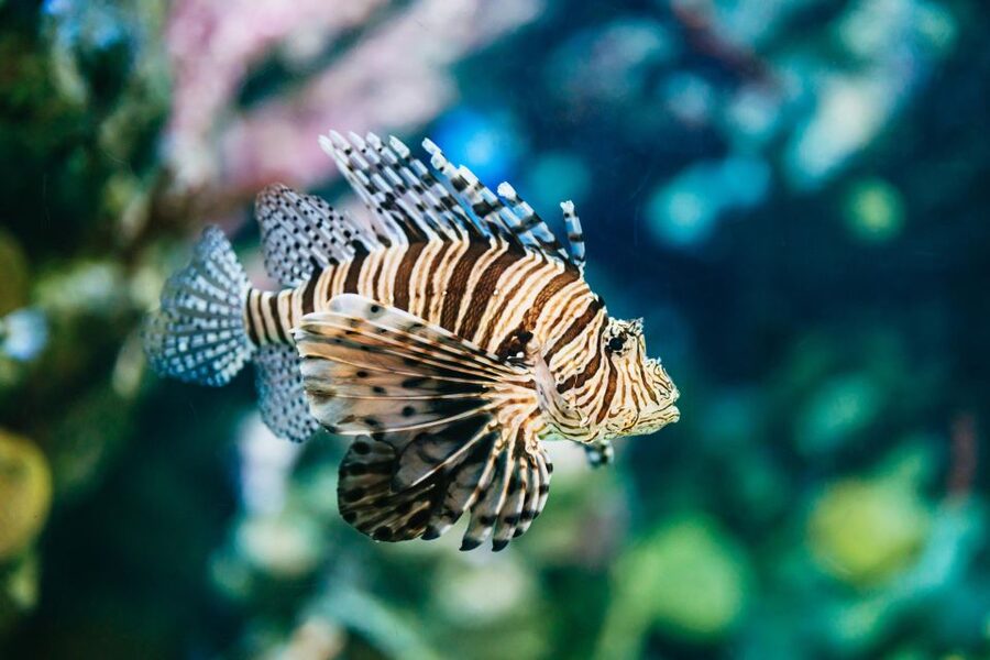 Barcelona Aquarium: Entry Ticket - Interactive stops that make conservation feel real