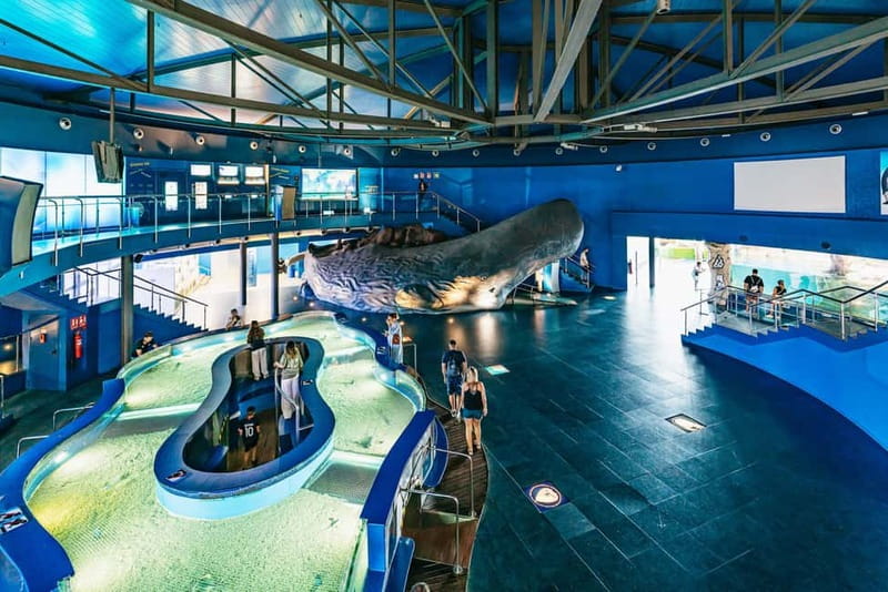 Barcelona Aquarium: Entry Ticket - Timing in Port Vell: how to pace your visit and beat the worst crowd