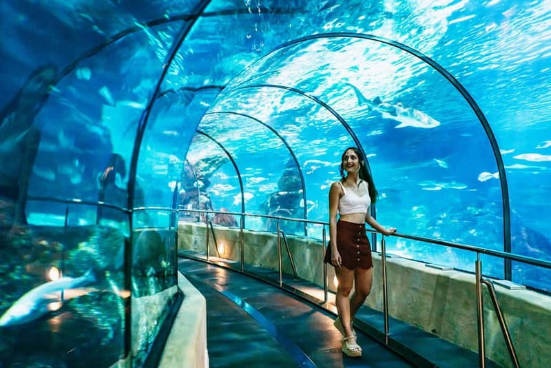 Barcelona Aquarium: Entry Ticket - Price and value: is $34 per person fair?