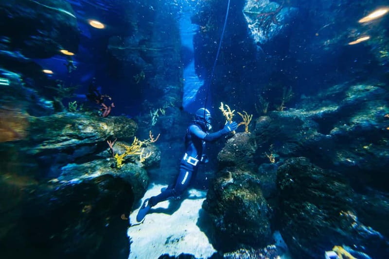Barcelona Aquarium: Entry Ticket - Practical tips: what to do when it gets crowded
