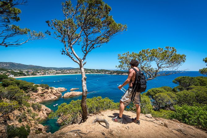 Barcelona: Costa Brava Easy Hike, Snorkel, Cliff-Jump & Meal - Starting at a golden cove and easing into the Camí de Ronda