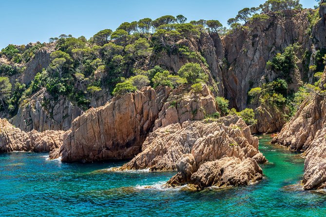 Barcelona: Costa Brava Easy Hike, Snorkel, Cliff-Jump & Meal - Snorkeling and optional cliff jumps, with real safety guidance