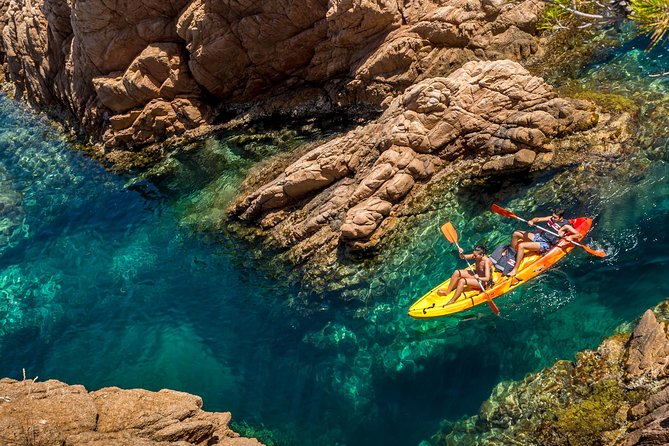 Barcelona Costa Brava Kayak, Snorkel & Cliff Jump Day Tour - Snorkeling Spots: What You Might See Under the Surface