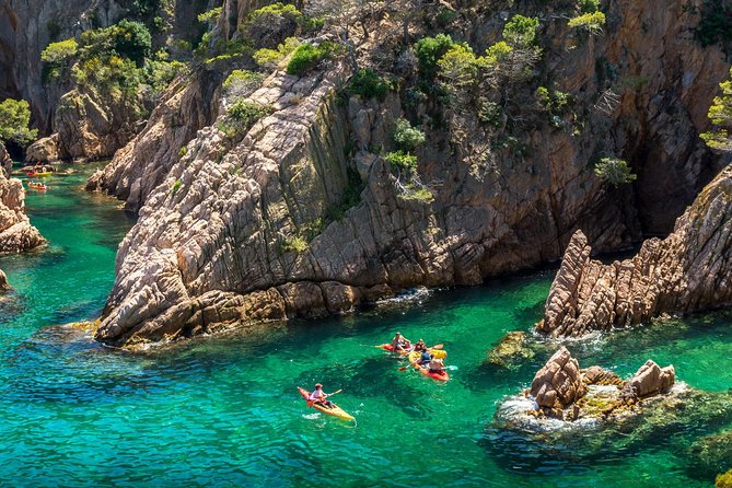 Barcelona Costa Brava Kayak, Snorkel & Cliff Jump Day Tour - Cliff Jumps: Optional Fun, Not a Forced Test