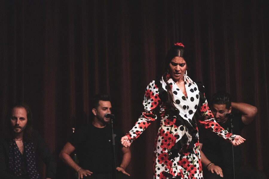 Barcelona: Flamenco Show at Palau Dalmases - Key Things To Know Before You Go