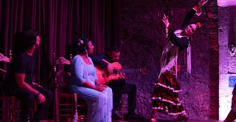 Barcelona: Flamenco Show at Palau Dalmases - What the Show Actually Looks Like: Songs, Guitar, and Dance