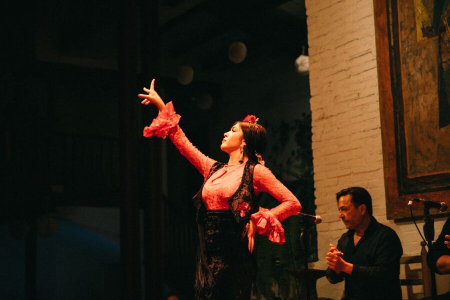 Barcelona: Flamenco Show with Dinner at Tablao de Carmen - Who should book Tablao de Carmen, and who should think twice