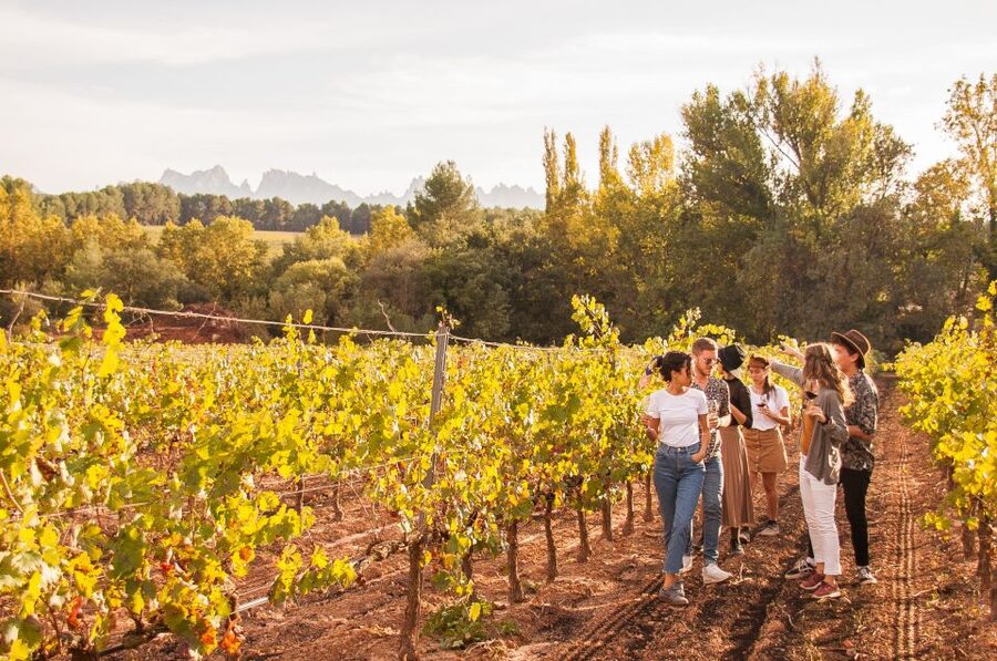 Barcelona: Full-Day Montserrat & Wine Small Group Tour - Lunch with wine: what you can expect from the Catalan menu