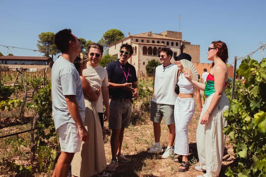 Barcelona: Full-Day Montserrat & Wine Small Group Tour - The three-wine tasting: what to pay attention to
