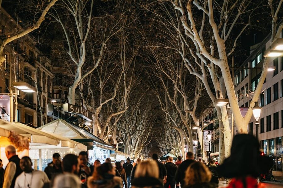 Barcelona: Gothic Quarter Ghosts and Legends Walking Tour - Who This Tour Suits Best (And Who Might Skip It)