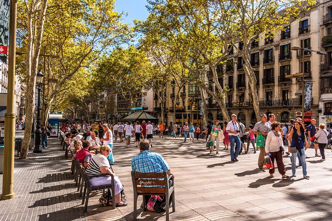 Barcelona Highlights Private Guided Tour with Hotel Pick-up - Pickup and private vehicle: saving energy for the sights