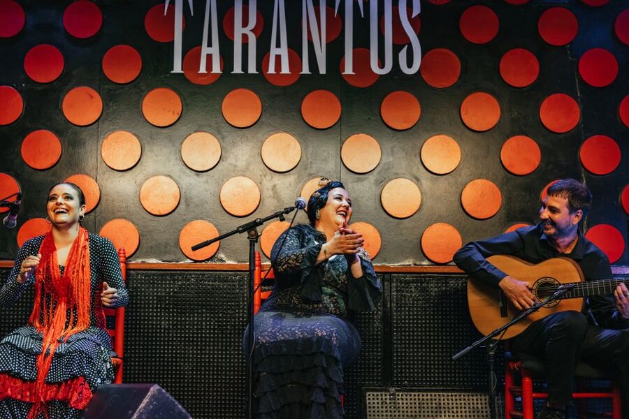 Barcelona: Los Tarantos Flamenco Show - Who This Fits Best (and Who Might Want Another Night)