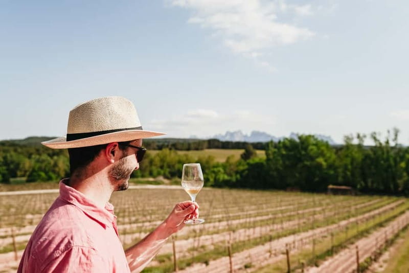 Barcelona: Montserrat, Cogwheel, Black Madonna & Winery Tour - Should you book this Montserrat trip?
