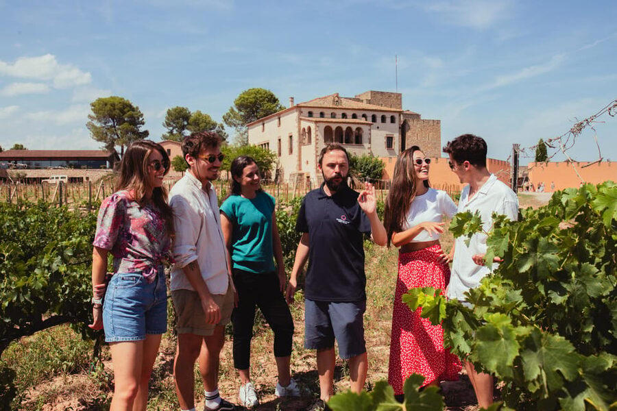 Barcelona: Montserrat with Winery, Lunch, and Train Options - The train and funicular magic, and what it’s really good for