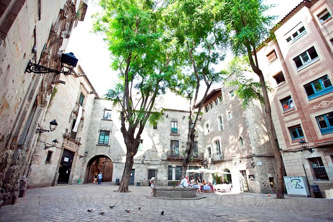 Barcelona Old Town & Gothic Quarter Small Group Tour - Plaça Reial, the Cathedral views, and a few smart photo stops