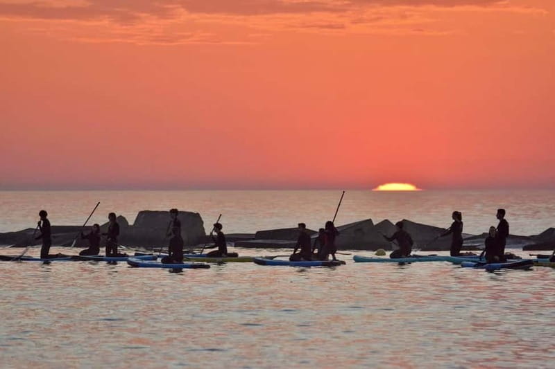Barcelona: Paddleboarding at Sunrise. Includes: instructor, photos, equipment - Key things to know before you go