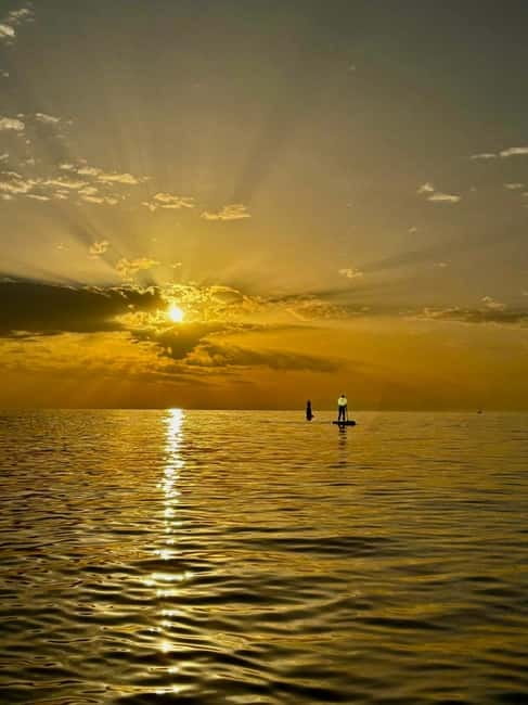 Barcelona: Paddleboarding at Sunrise. Includes: instructor, photos, equipment - Where the Morning Starts: Carrer del Judici 9, Barceloneta