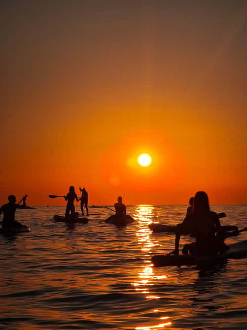 Barcelona: Paddleboarding at Sunrise. Includes: instructor, photos, equipment - The Walk to Sunrise: Slow Views, Quick Tips, Real Atmosphere