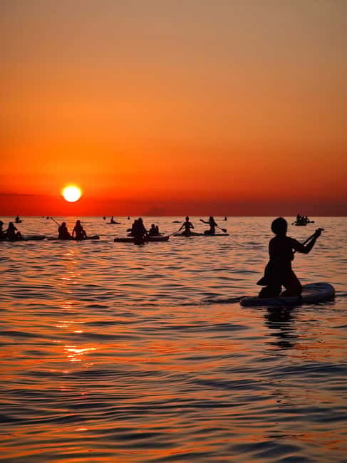 Barcelona: Paddleboarding at Sunrise. Includes: instructor, photos, equipment - On-Water SUP: Balance, Paddle Technique, and What to Expect