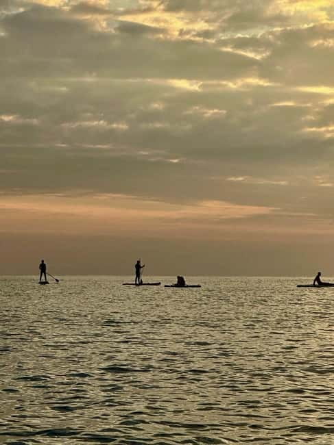 Barcelona: Paddleboarding at Sunrise. Includes: instructor, photos, equipment - Feeling Safe and Supported, Especially If It’s Your First Time