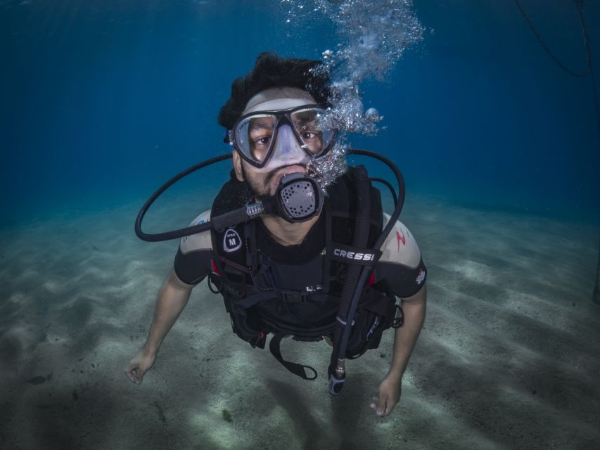 Barcelona: PADI Discover Scuba Diving - Meeting point and check-in, without stress