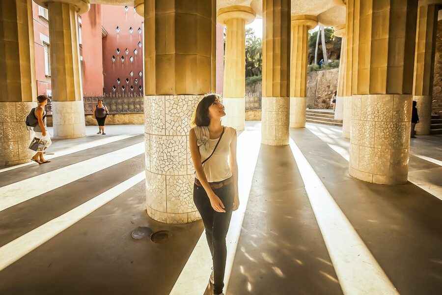 Barcelona: Park Güell Admission Ticket - Monumental zone must-sees: Hypostyle Room and Nature Square