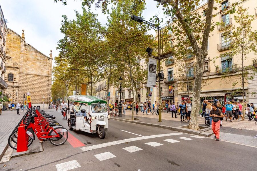 Barcelona: Private City Tour by Eco Tuk Tuk - Port Vell, Ciutadella Park, and the Olympic Port: Barcelona beyond the postcards