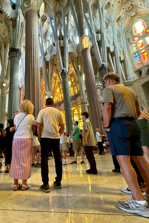 Barcelona: Sagrada Familia Entry Ticket and Guided Tour - Inside the basilica: columns like a forest and stained-glass light shifts