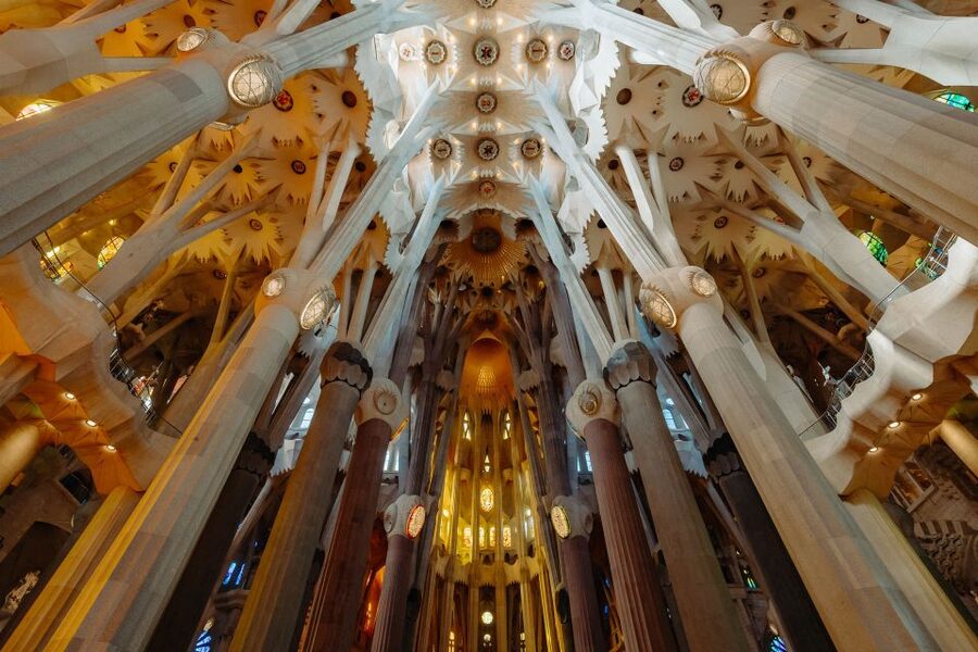 Barcelona: Sagrada Familia Tour w/Skip-the-Line Entry Ticket - Inside the nave: where Gaudí’s tree-like columns do their magic